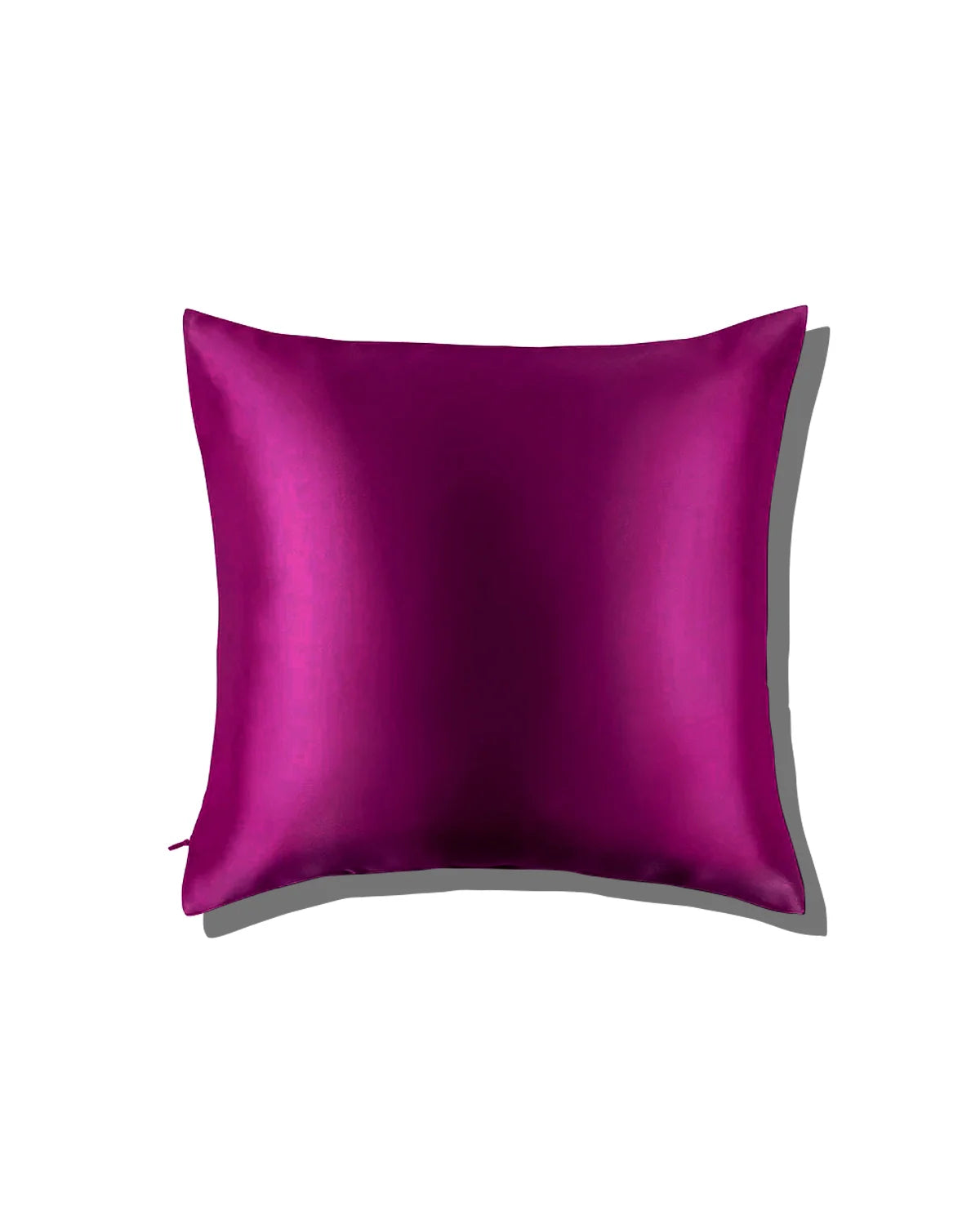 19 Momme Silk Euro Sham Pillowcase 31x31