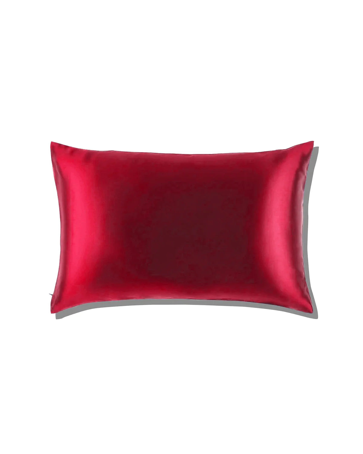 22 Momme Zippered Silk European Pillowcase