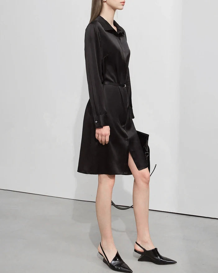 22 Momme Silk Belted Midi Dress Long Sleeve