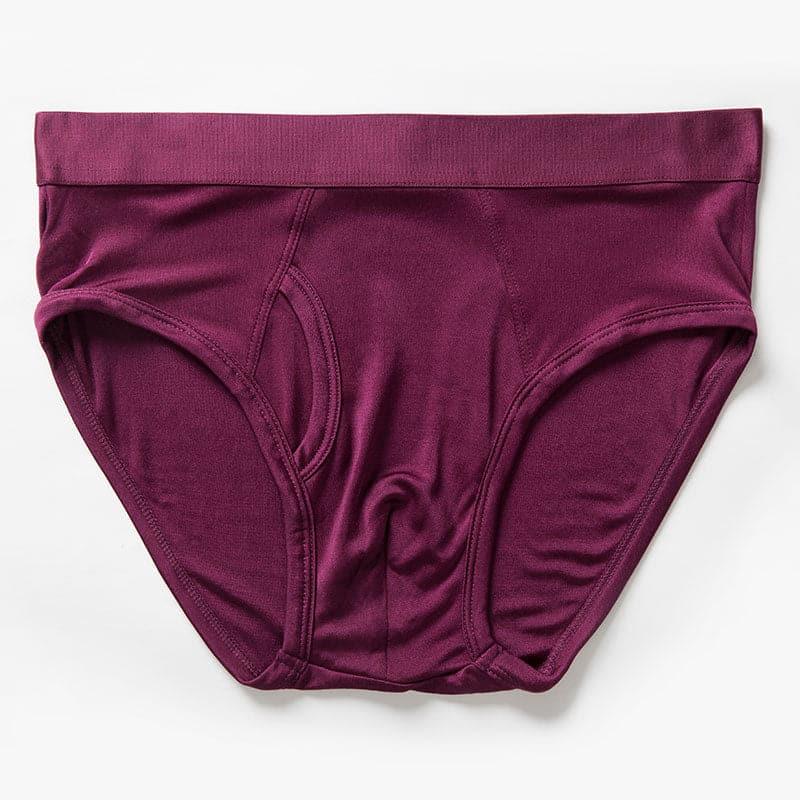Silk Briefs for Men