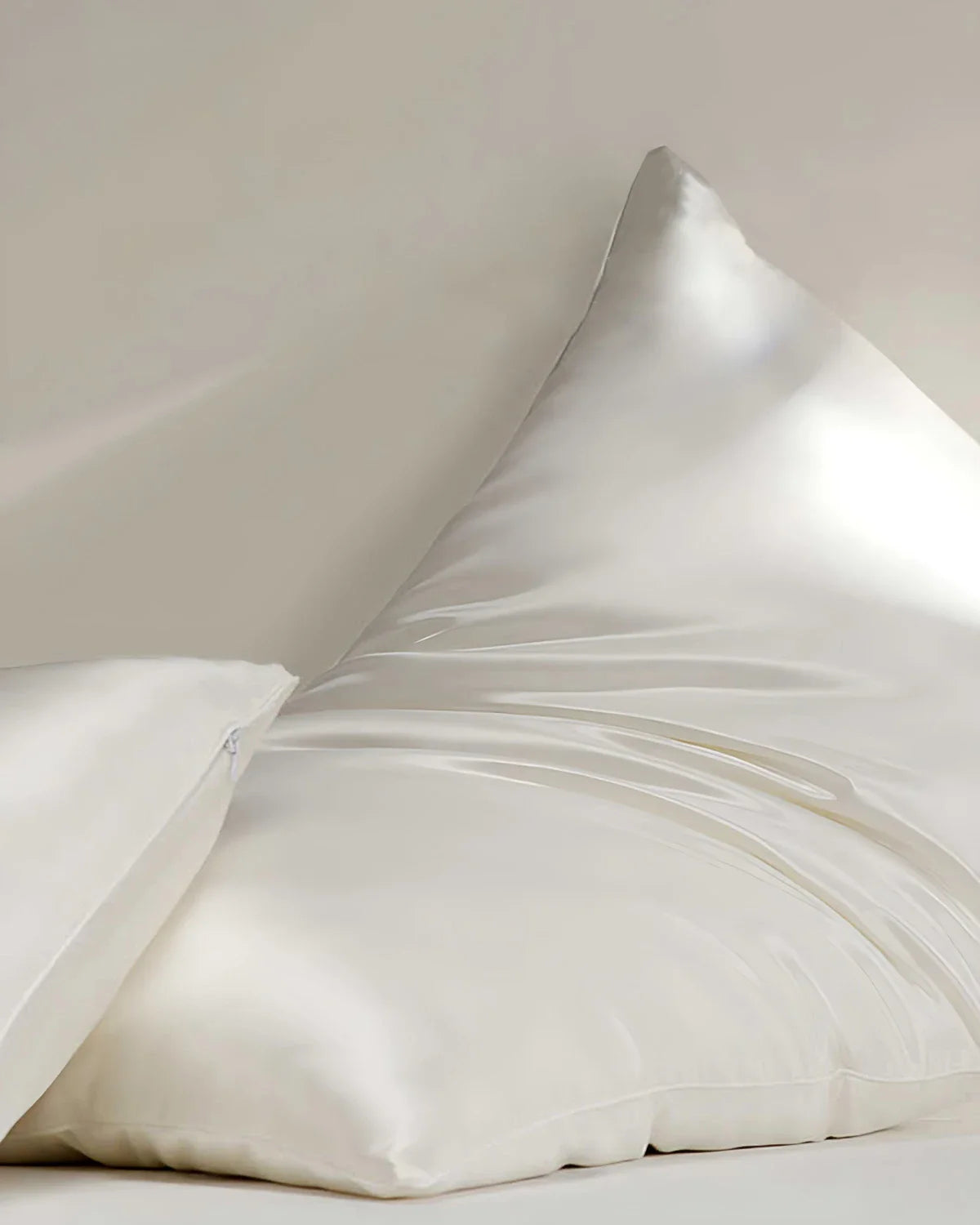 Mulberry Silk Pillow with Silk Shell