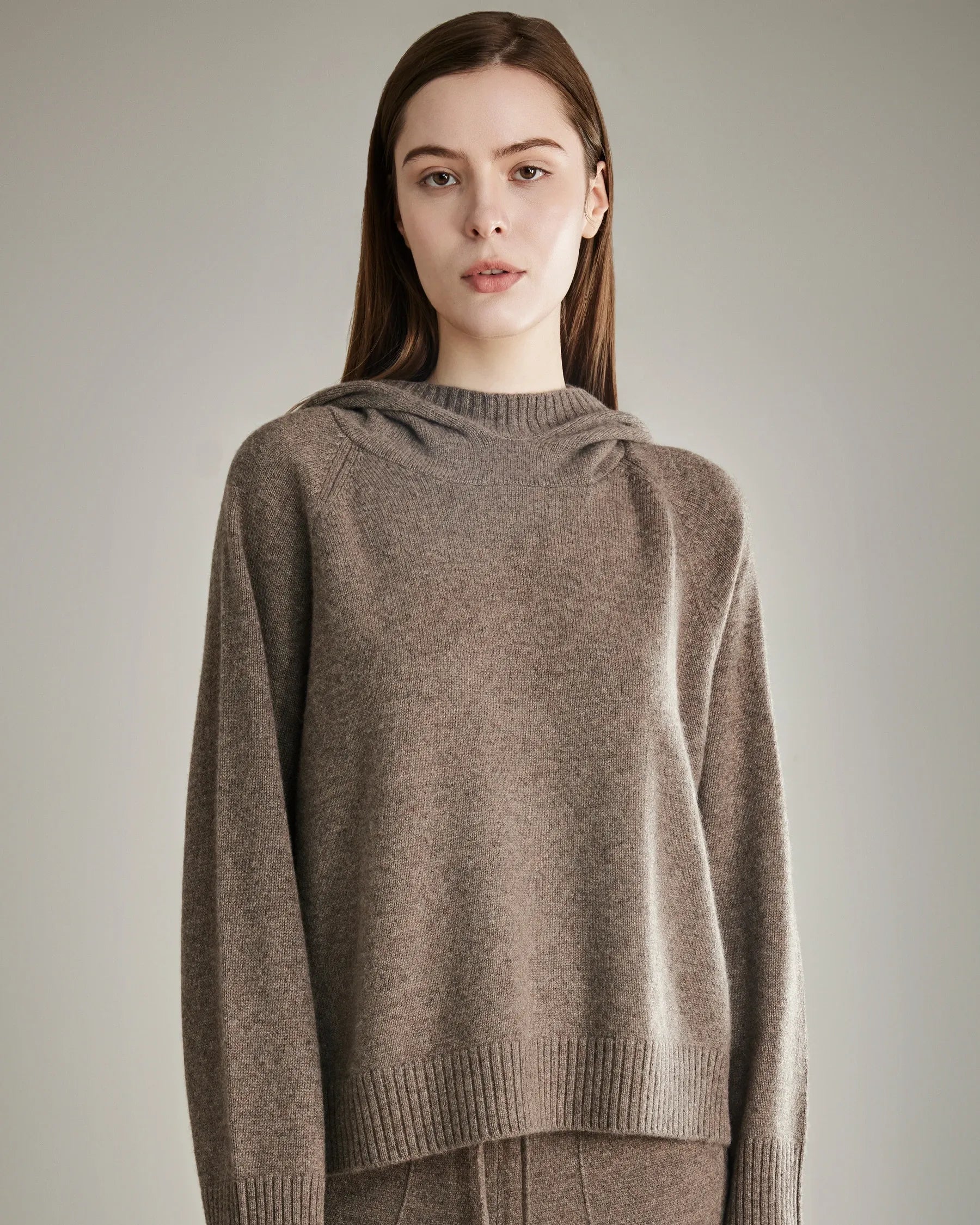 Loft Hooded Cashmere Sweater